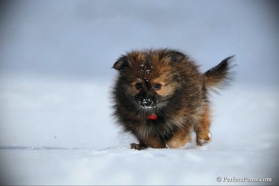 Jan7_11_076.jpg