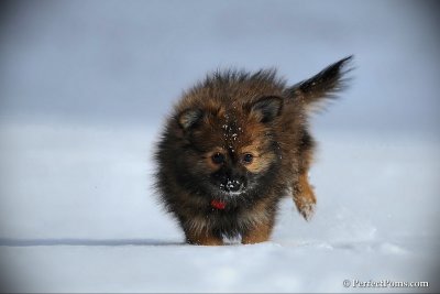 Jan7_11_078.jpg