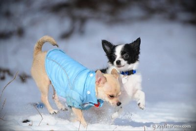 Jan7_11_107.jpg