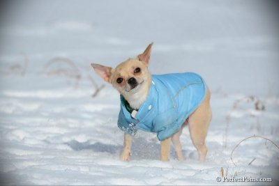 Jan7_11_113.jpg