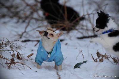 Jan7_11_116.jpg