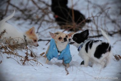 Jan7_11_119.jpg