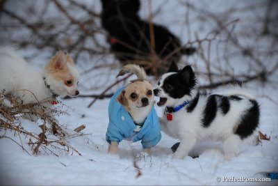 Jan7_11_121.jpg