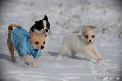 Jan7_11_128.jpg