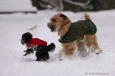 Feb1_08_701.JPG