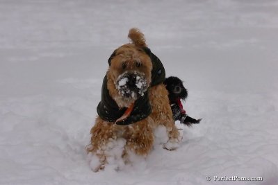 Feb1_08_702.jpg