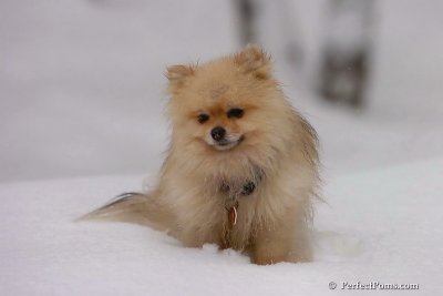 Feb1_08_703.jpg