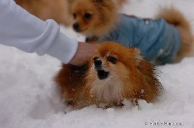 Feb1_08_707.JPG