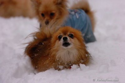 Feb1_08_708.JPG