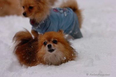 Feb1_08_710.JPG