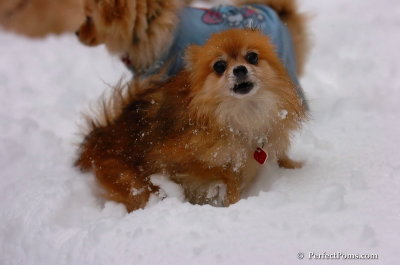 Feb1_08_711.JPG