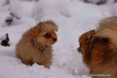 Feb1_08_712.jpg
