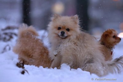 Feb1_08_726.JPG