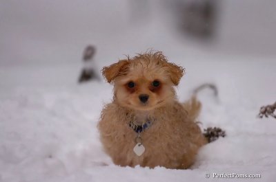 Feb1_08_728.JPG