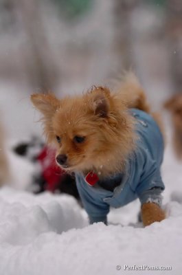 Feb1_08_740.JPG