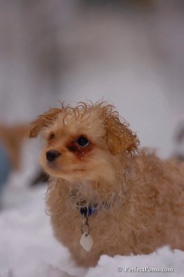 Feb1_08_745.JPG