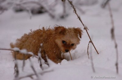 Feb1_08_756.JPG