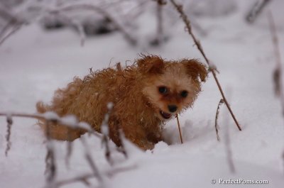 Feb1_08_757.JPG