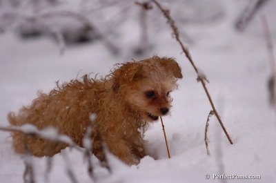Feb1_08_758.JPG