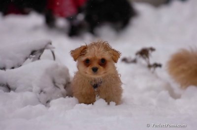 Feb1_08_760.JPG