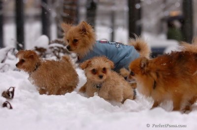 Feb1_08_767.JPG
