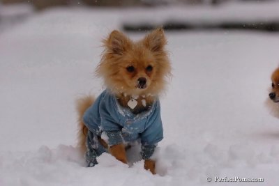Feb1_08_626.jpg