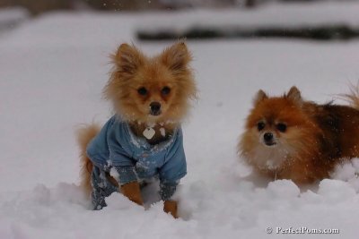 Feb1_08_627.jpg