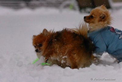 Feb1_08_630.jpg