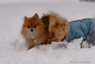 Feb1_08_632.jpg