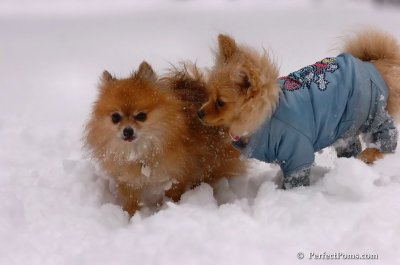 Feb1_08_633.JPG