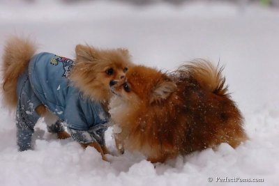 Feb1_08_636.jpg