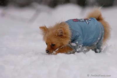 Feb1_08_639.jpg