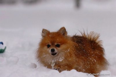 Feb1_08_641.jpg