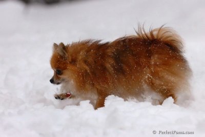 Feb1_08_642.jpg