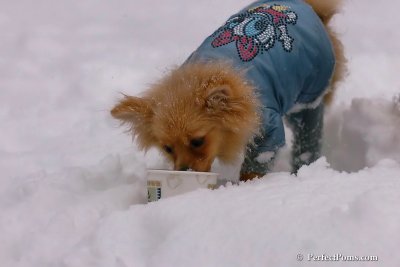 Feb1_08_643.jpg