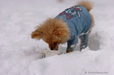 Feb1_08_644.JPG