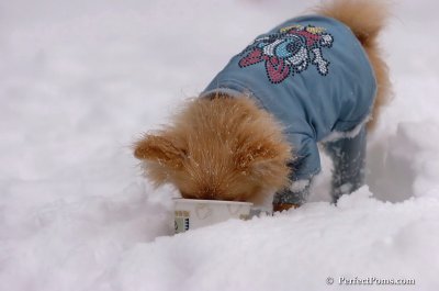 Feb1_08_645.JPG