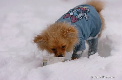 Feb1_08_646.JPG