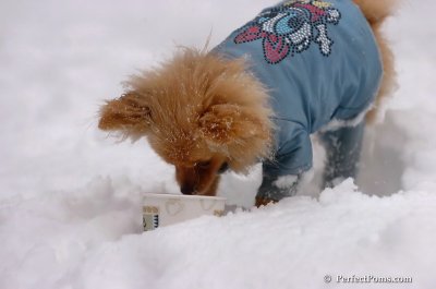 Feb1_08_647.JPG