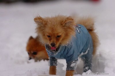 Feb1_08_648.JPG