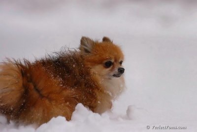 Feb1_08_650.jpg