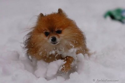 Feb1_08_652.jpg