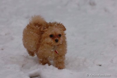 Feb1_08_334.jpg