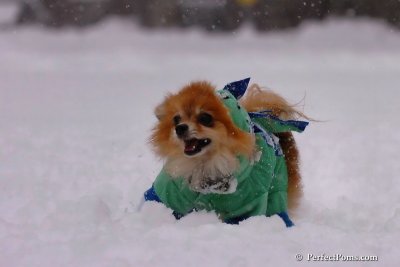 Feb1_08_051.jpg