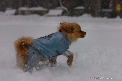 Feb1_08_066.jpg