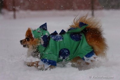 Feb1_08_078.jpg