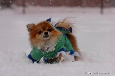 Feb1_08_079.jpg