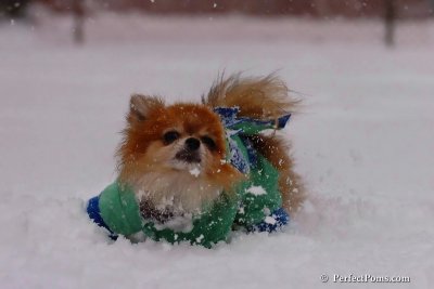 Feb1_08_080.jpg