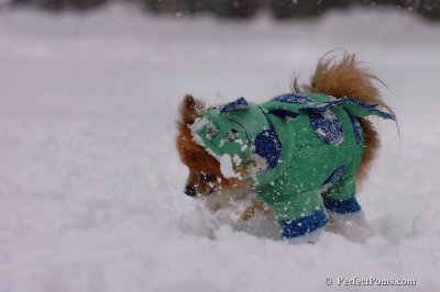 Feb1_08_087.jpg