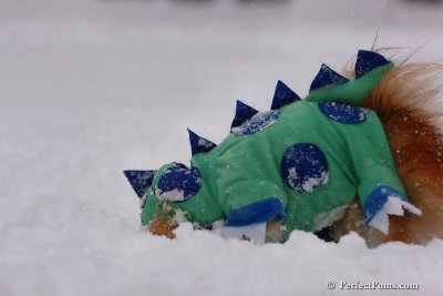 Feb1_08_089.jpg